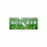 供应草坪马尼拉，百慕大黑麦草，百慕大，高羊茅，结缕草等草坪