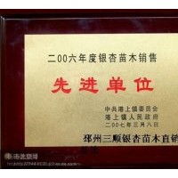 大量出售5--80公分实生银杏树，６--８０公分银杏嫁接树