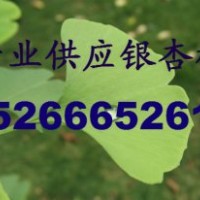 山东|苗圃|苗木公司|苗木基地|苗木求购商|苗木经销商|苗木